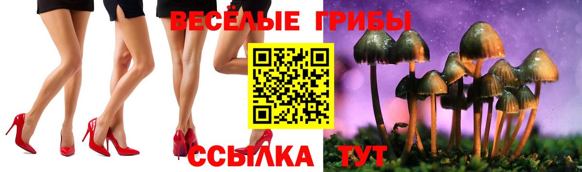 Псилоцибиновые грибы прущие грибы  где можно купить наркотик  Вход с VPN  Тольятти  Псилоцибиновые грибы Magic Shrooms 